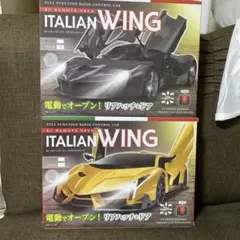 【2個セット】ラジコンカー イタリアンウィング 2025年最新】rc イタリアンウイングの人気アイテム - メルカリ