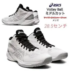 ASICS SKY ELITE FF MT 2 28.5