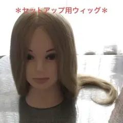 セットアップ用ウィッグ
