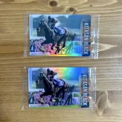 サラブレッドホースコレクション キタサンブラック 金色箔サイン ノーマル セット