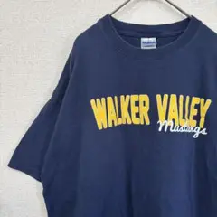 ギルダン　tシャツ プリント　チーム　アメリカ古着　 XL 2171