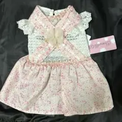 Item thumbnail for item f994027f-5826-4bc8-af7f-a75a049f5a92