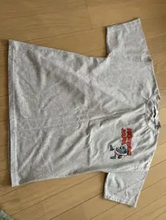 ZARA　キッズ　Ｔシャツ
