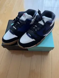NIKE SB AIR TRAINER POLAR 27.5cm
