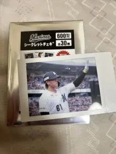 千葉ロッテマリーンズ 山本大斗　チェキ