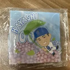 横浜DeNAベイスターズ 林選手　アクリルスタンド　ガチャ