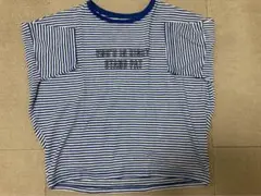 【レディース夏服】グリーンパークス★シアーボーダーロゴTシャツ 青★フリーサイズ