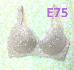 ワイヤーブラE75　新品未使用保管品