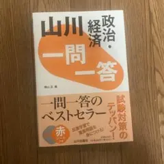山川 一問一答 政治・経済