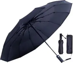 Item thumbnail for item 4cae4579-1c43-4869-be68-7f0582d86238