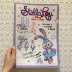 【新品未使用】クリアファイル Disney ステラルー 公式 A4サイズ