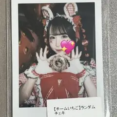 栗原舞優 チームいちご 虹コン ランチェキ ランダムチェキ