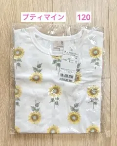 プティマイン　プティプラ　Tシャツ　ひまわり　120