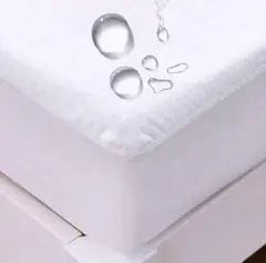 Item thumbnail for item 3756078d-61b9-4f25-8331-9db844d2c550