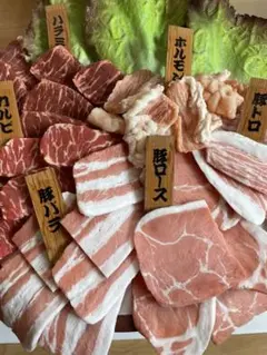 ç¹å€§é£åãµã³ãã«ãçŒè