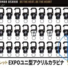 ガンバ大阪 ガンバEXPO シークレットユニ型アクリルカラビナ ウェルトン