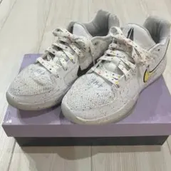 Nike JA2 " ja-breaker " 25.5cm
