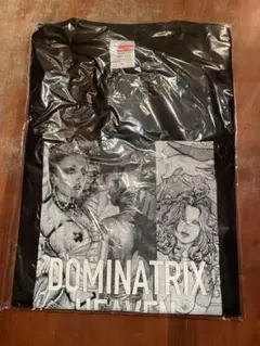 DOMINATRIX HEAVEN 空山基 寺田克也 初版　サインなし 空山基×ロッキン・ジェリービーン×寺田克也 『DOMINATRIX HEAVEN