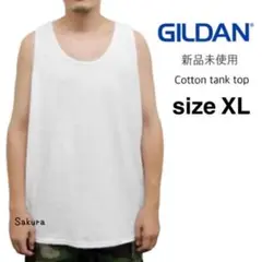 Item thumbnail for item 6585201e-6ecf-4870-b127-0a007a8c6338