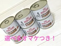 Item thumbnail for item e81c6868-cf30-405f-aaeb-71e4c4f1cbed