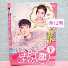 「ピョン・ヒョクの恋」DVD 全13巻完結セット 韓国ドラマ レンタル落ち
