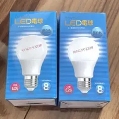 【新品】オーパーツ　LED電球 2個セット