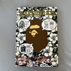 Item thumbnail for item 85d6f765-4d94-4865-9959-efc87cf28dd2