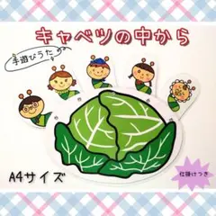 キャベツの中から　手遊び歌