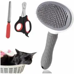 Item thumbnail for item 6e876f01-c37c-4bf2-a174-3349d115d192
