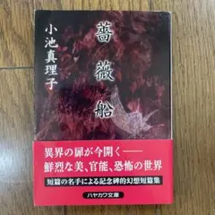 薔薇船 小池真理子 ハヤカワ文庫