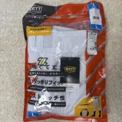 Item thumbnail for item 6d66cd1e-07fe-4c6d-88dd-20b9dbfc53d0