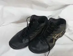 asics アシックス バスケットシューズ 24.5 MIZUNO バッシュ