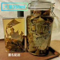 ドクダミチンキ大容量350ml色んなクラフト品に5/17日作成