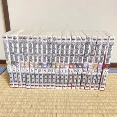 【最終値下げ】Pandora Hearts 1~22巻セット【期間限定出品】