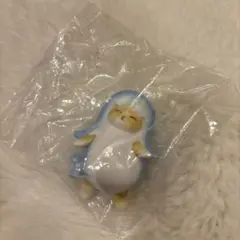 モフサンド　ジンベエザメ　猫