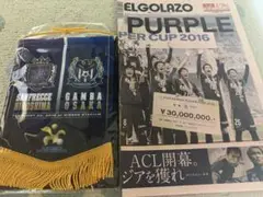 2016年　ゼロックス杯記念グッズセット　(サンフレッチェ広島)
