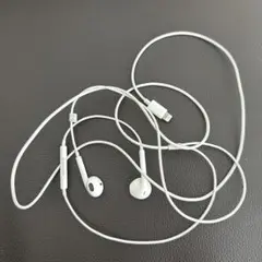 apple 純正　iPhone 有線イヤホン　lightning