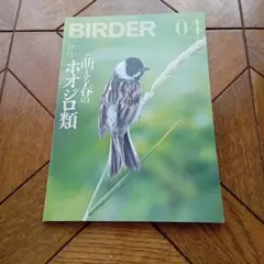 BIRDER2021年4月号