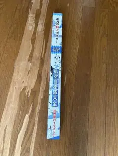 Item thumbnail for item 06bd8a49-7993-458a-ad20-cfd75424f055