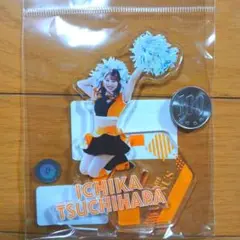 土原一花　読売ジャイアンツ　巨人軍　ヴィーナス　VENUS　アクリルスタンド