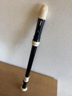 Item thumbnail for item 43ab0e94-5dce-4d89-9d29-5b31da7a5588