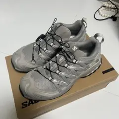 salomon XA PRO 3D シルバー　27センチ