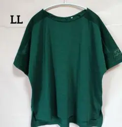 ダークグリーン レース袖 半袖シャツ LL
