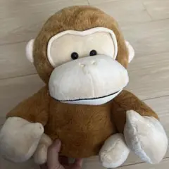 わんぱく！ごりらぶらざーず ゴリラ ぬいぐるみ