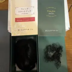 Item thumbnail for item 56987d15-c3d3-420c-a8f0-768539eef71a