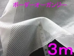 ボーダーオーガンジー(オフホワイト、幅112cm×長さ3ｍ)