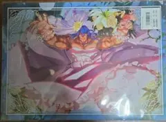 BLAZBLUE ブレイブルー ウェディングクリアファイル