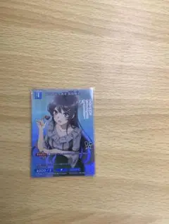 ビルディバイド　青ブタ　品行方正な彼女