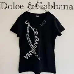 Dolce&Gabbana✨マクブリング y2k 平成 ちびT 半袖Tシャツ