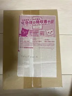 Item thumbnail for item d5d50876-9b44-46fd-82dc-a0f7cc95811b